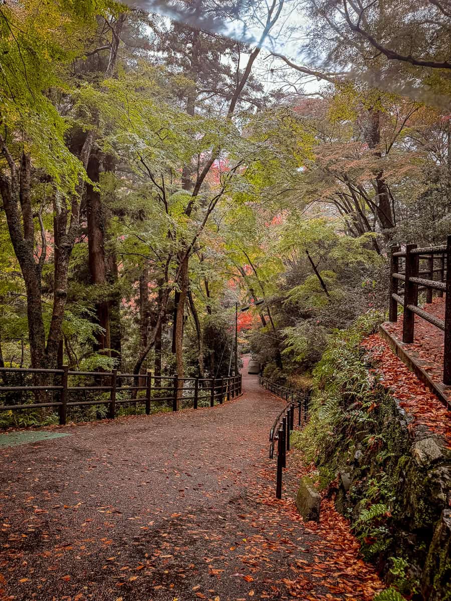 Minoh Waterfall Walk