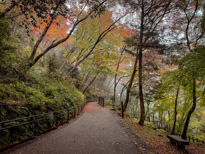 Minoh Park Japan