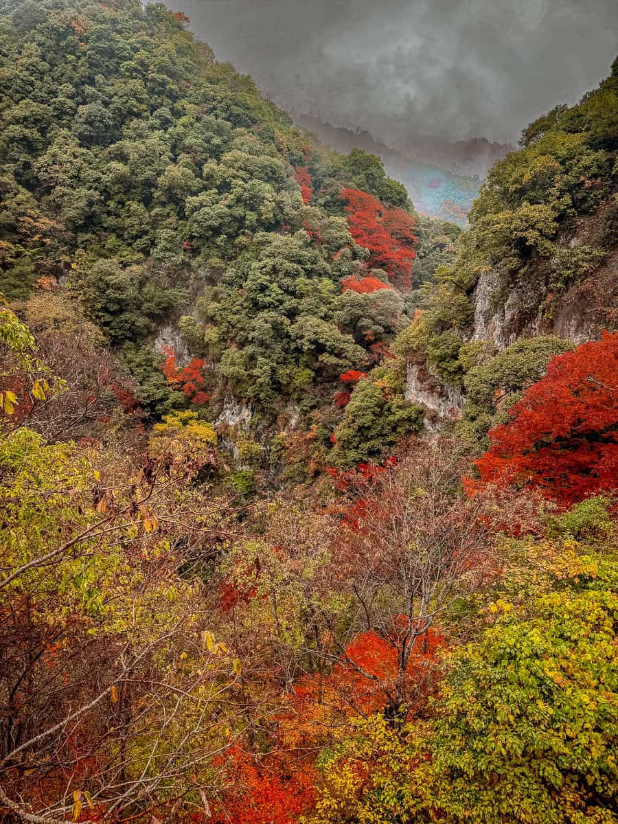 Minoh Park Japan 