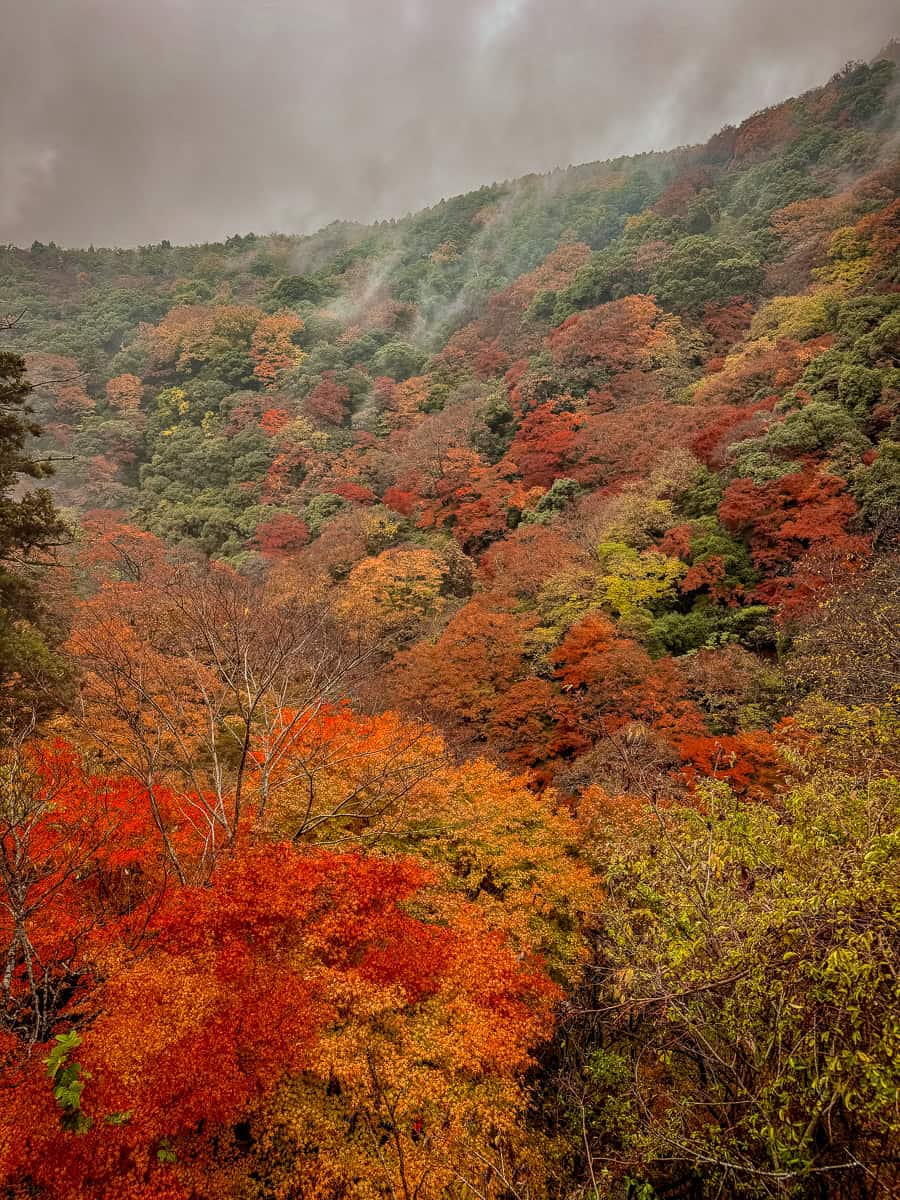 Minoh Park in autumn