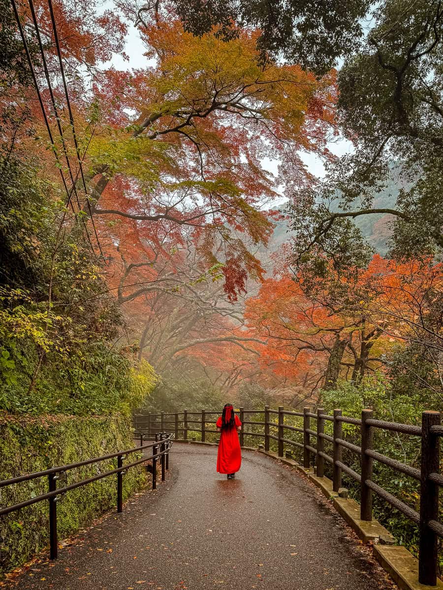 Minoh Park in autumn JApan