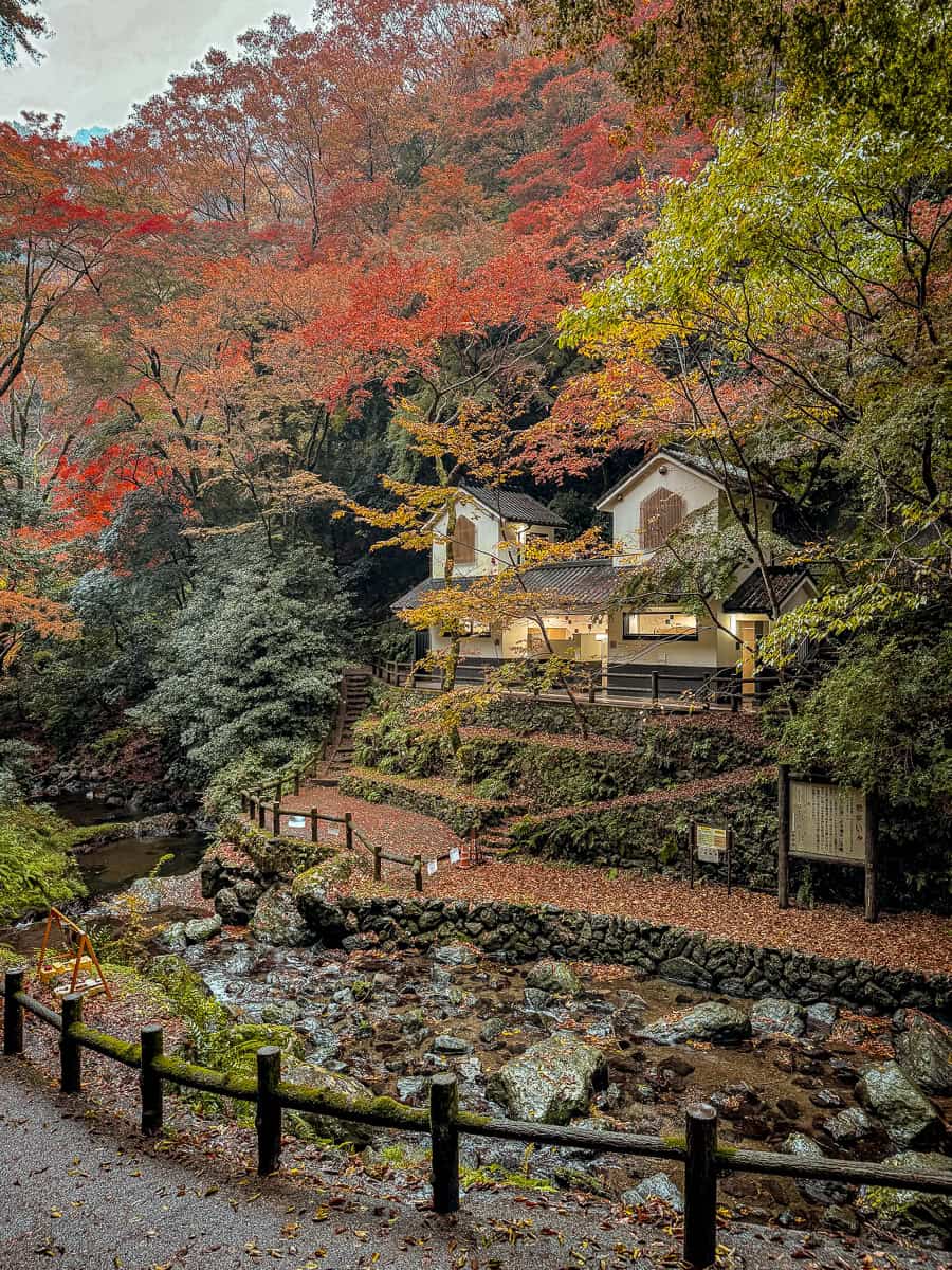 How to visit Minoh Falls in JApan