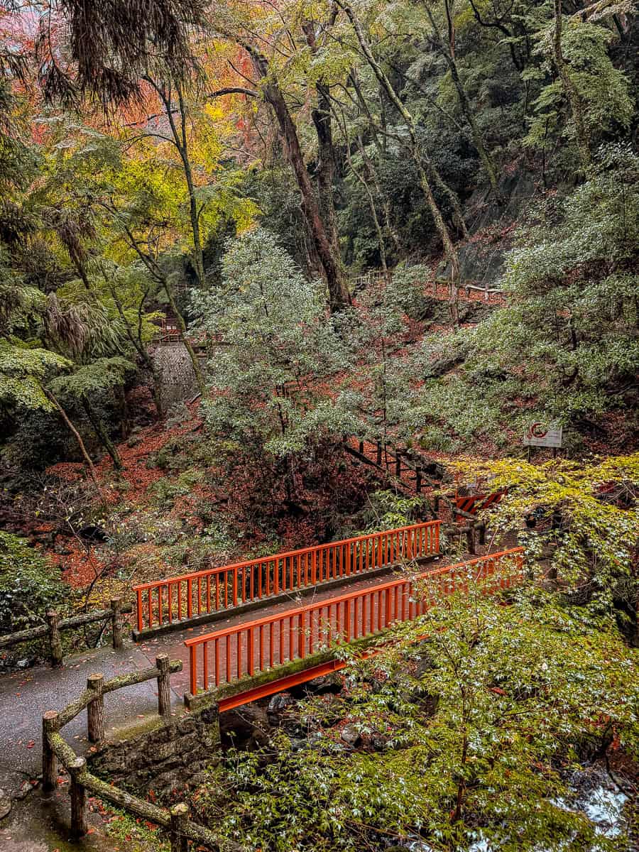 How to Visit Minoh Park from Osaka