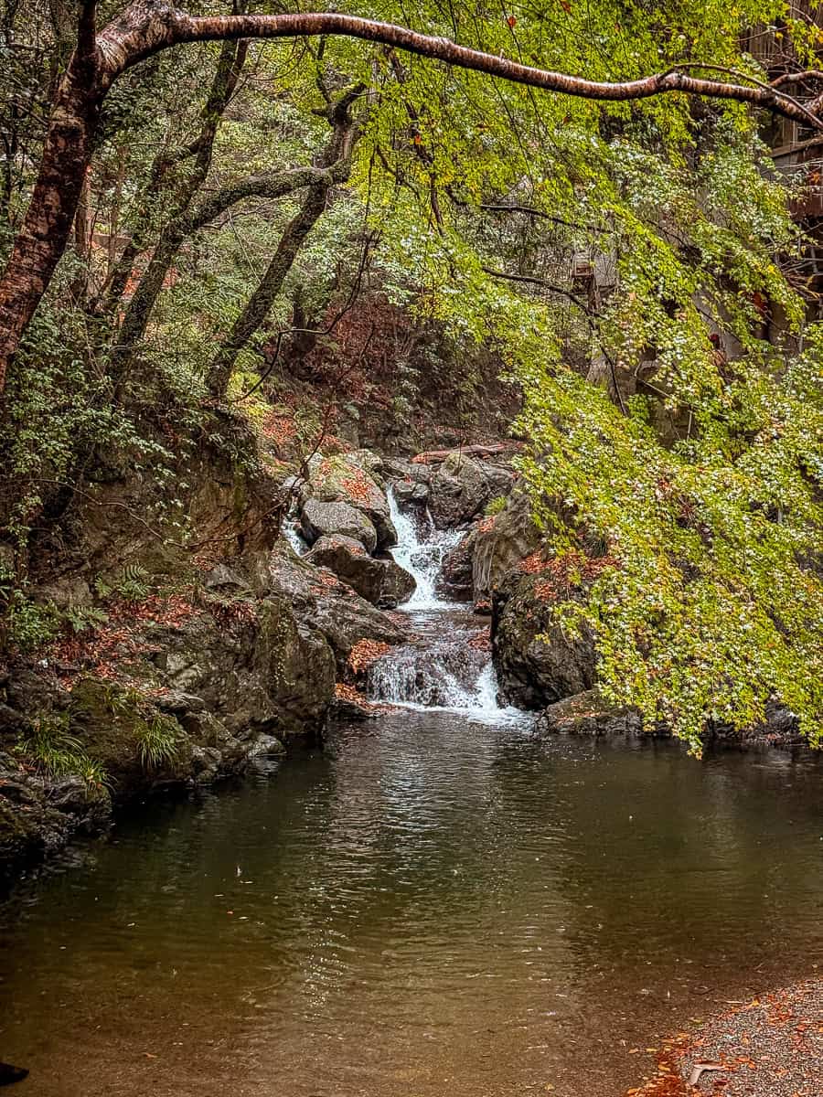 Minoh Park Japan 