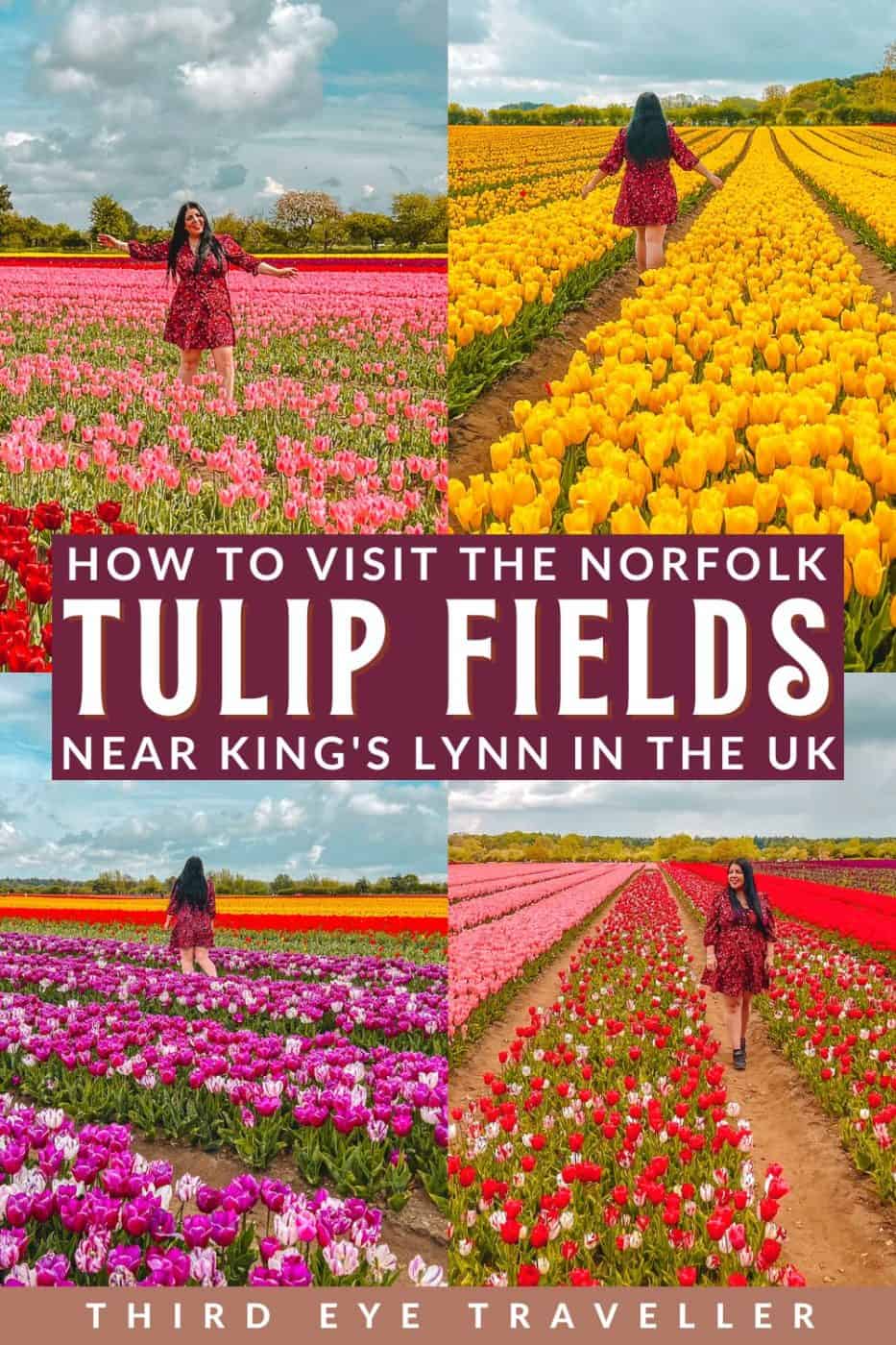 How to Visit Norfolk Tulip Fields UK