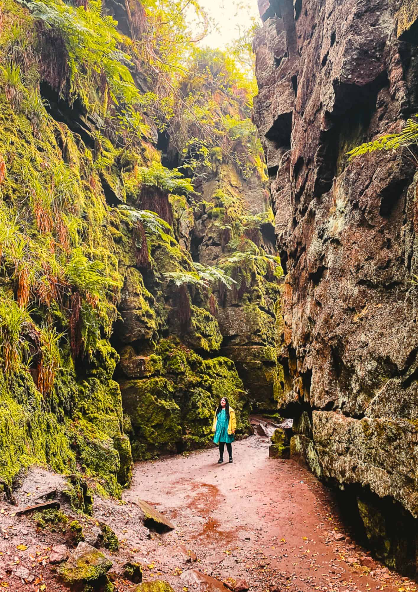 Easy Lud’s Church Walk from Gradbach, Peak District (2026)!