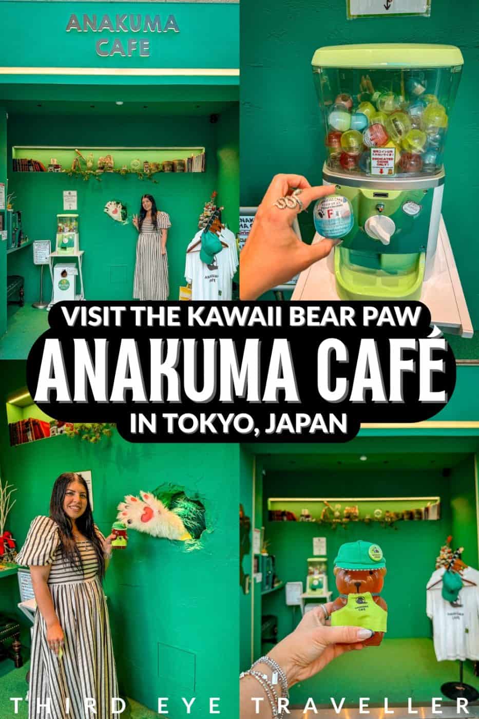Anakuma Café - Visit a Whimsical Bear Paw Café in Tokyo! 24 How to visit anakuma cafe bear paw hole in wall japan1