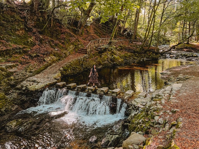 Tollymore Forest Park Game of Thrones