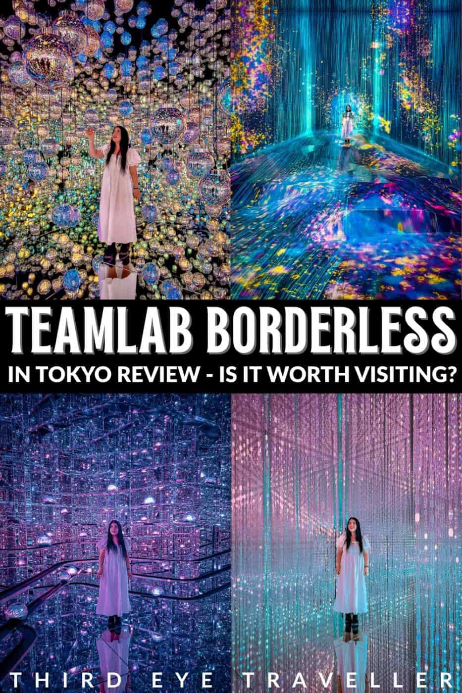 Is Tokyo Teamlab Borderless Worth Visiting