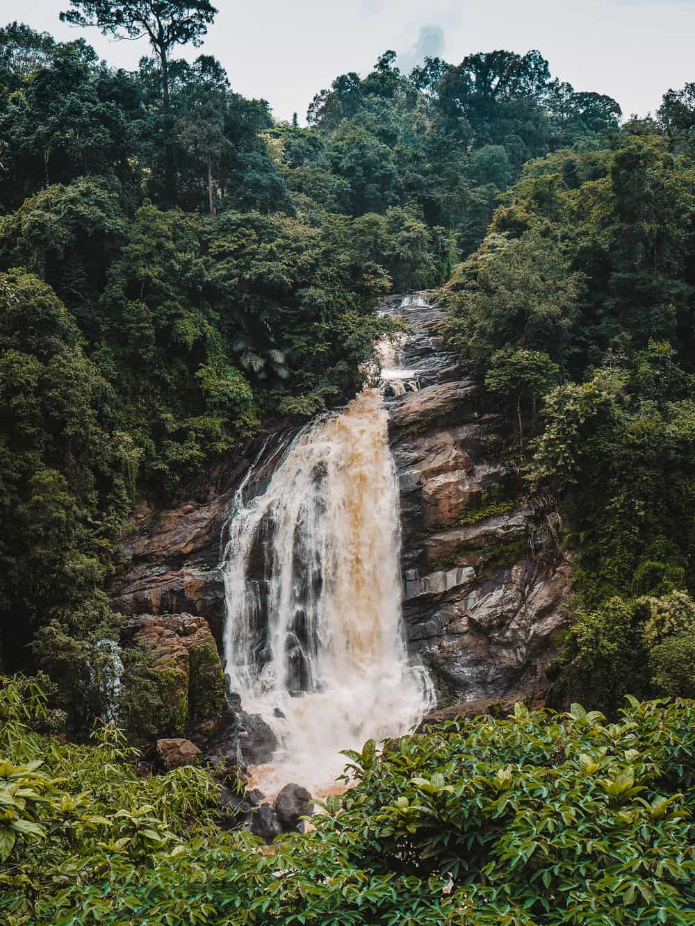 Cheeyapara Falls | Fort Kochi to Munnar Stops