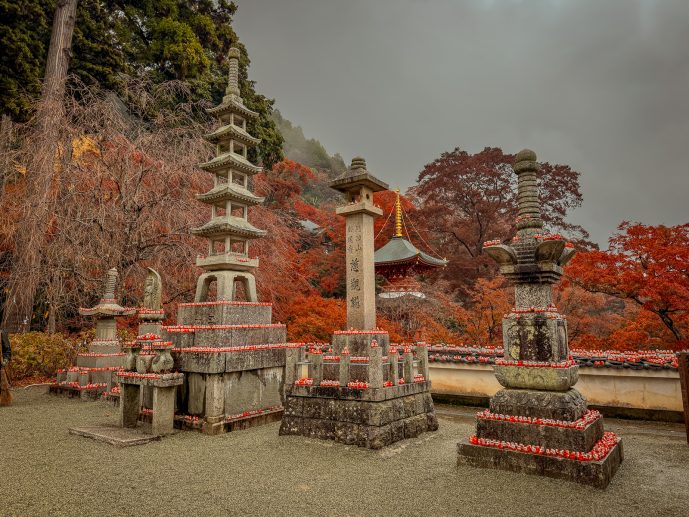 Katsuoji Temple from Osaka Daruma Dolls