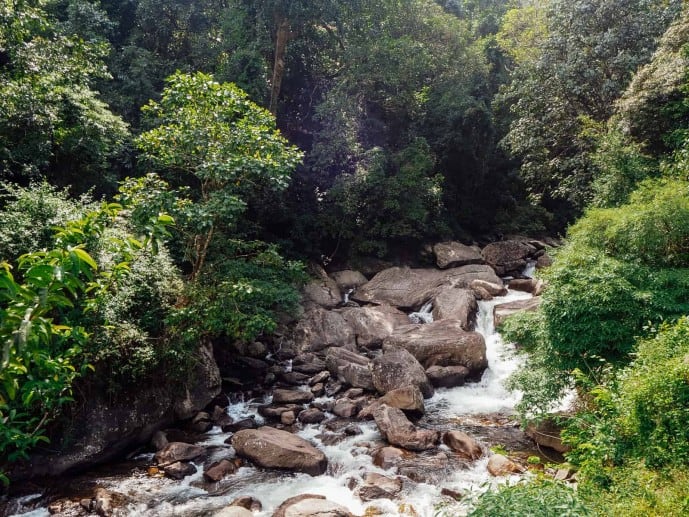 Lakkam Waterfalls Munnar