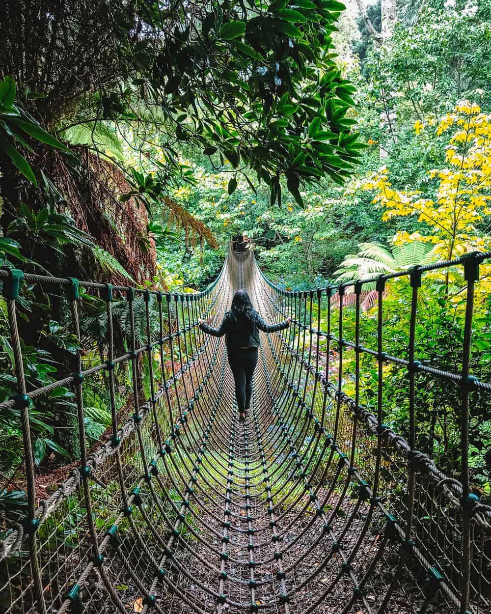 Burma Rope Bridge Lost Gardens of Heligan