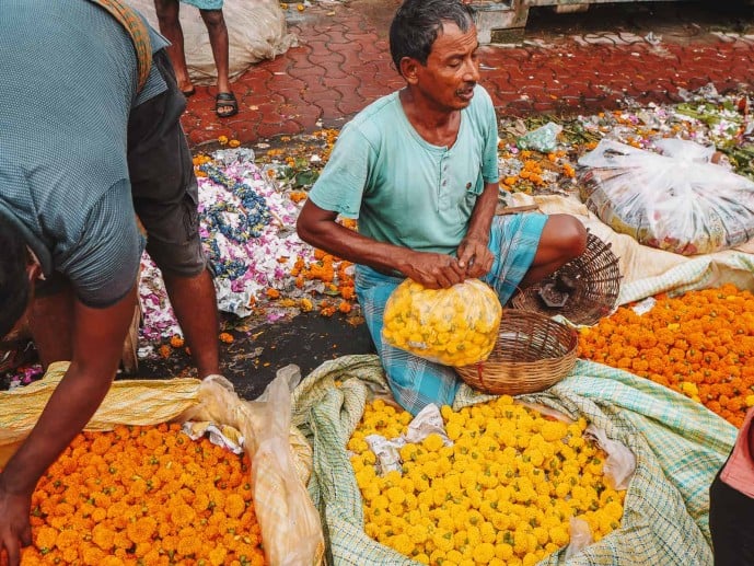 Marigolds in India flower market