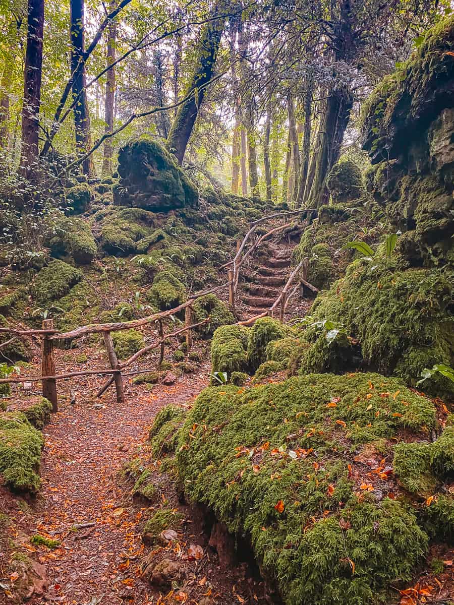 8+ Magical Merlin Puzzlewood Filming Locations You Must Visit in the Forest of Dean! 31 Puzzle Wood