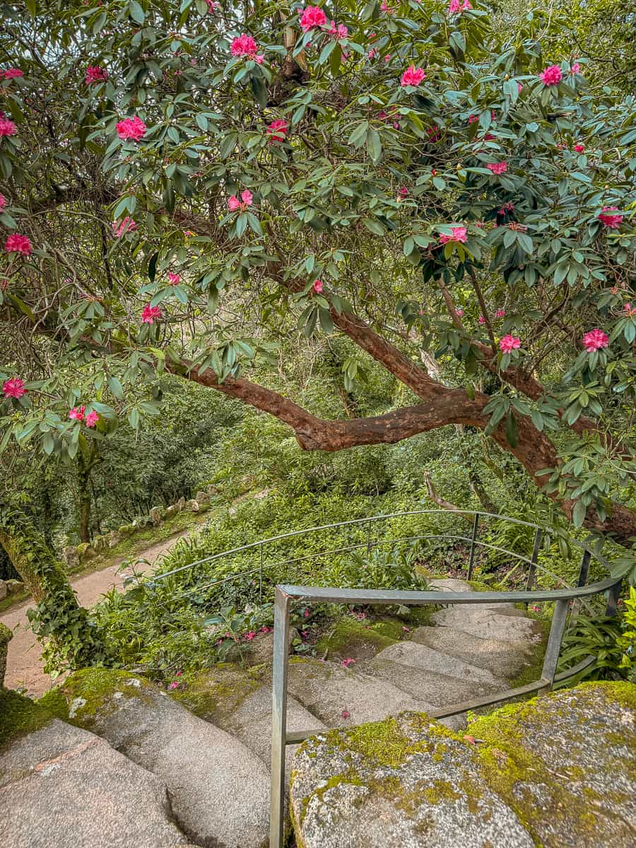 Monserrate Palace & Park - Don’t Skip This Sintra Hidden Gem (2026)! 29 Park and Palace of Monserrate Sintra