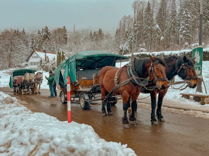 Carriage Rides Neuschwanstein Castle in Winter