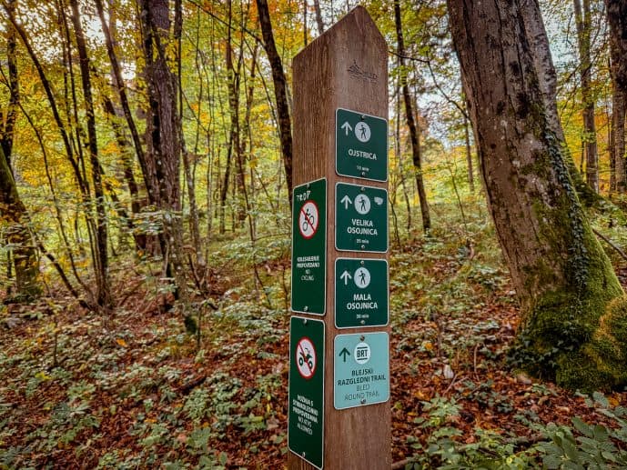 Ojstrica Hike - How to Visit for Fairytale Views of Lake Bled (2026)! 10 Ojstrica Hike