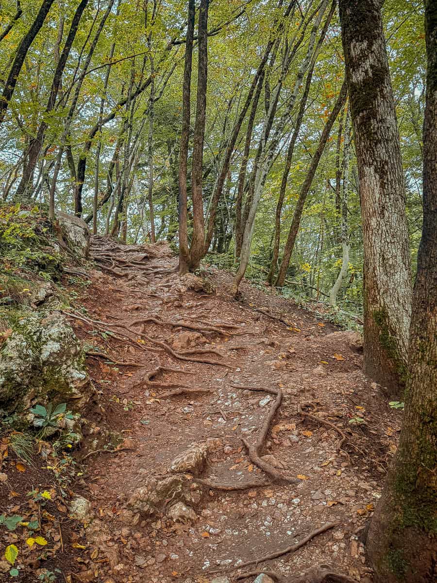 Ojstrica Hike - How to Visit for Fairytale Views of Lake Bled (2026)! 12 Ojstrica Hike