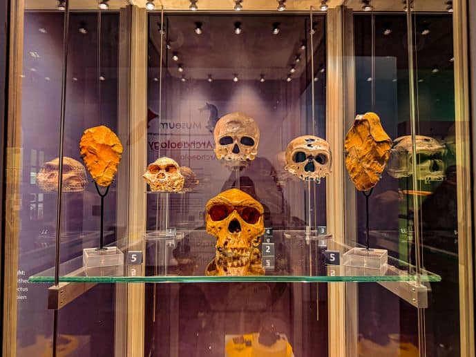 Durham Archaeology Museum