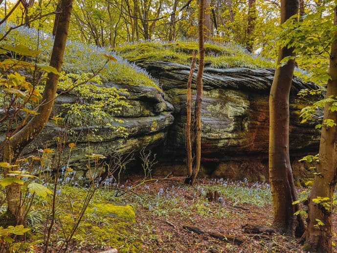 Plumpton Rocks Yorkshire