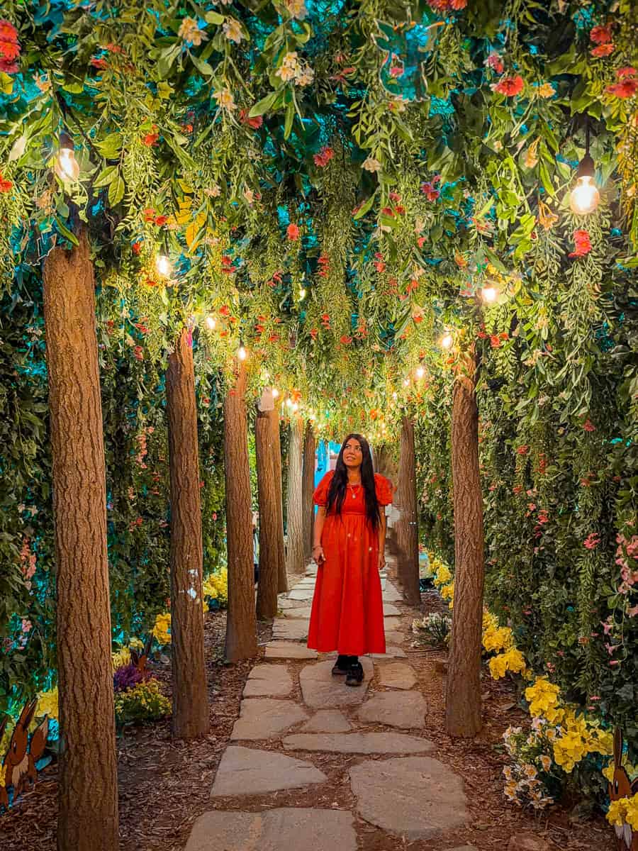 Pokémon Secret Forest in Seoul - A Complete Visitor Guide! 6 Pokemon Secret Forest Seoul