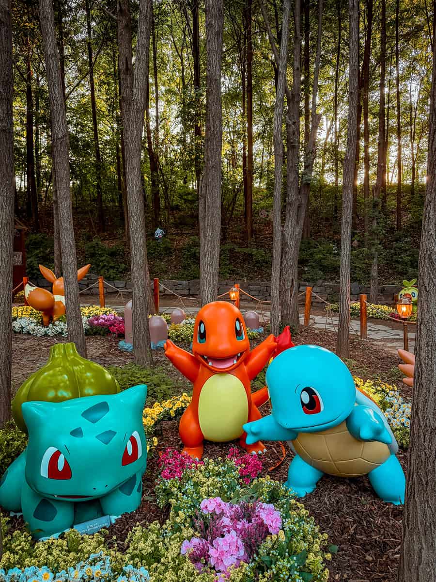 Pokémon Secret Forest in Seoul - A Complete Visitor Guide! 10 Pokemon Secret Forest Seoul