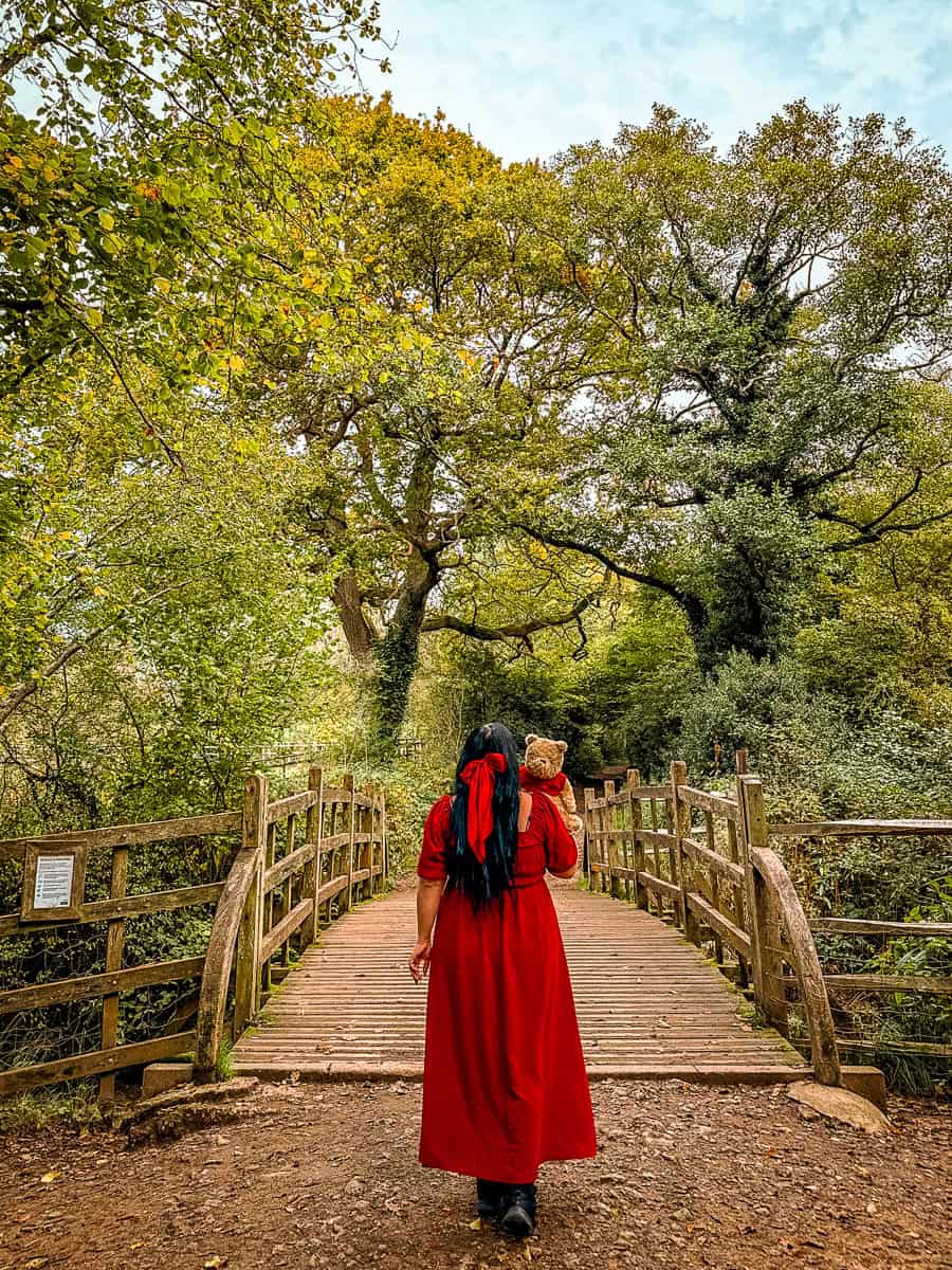 Pooh Sticks Bridge Hundred Acre Wood