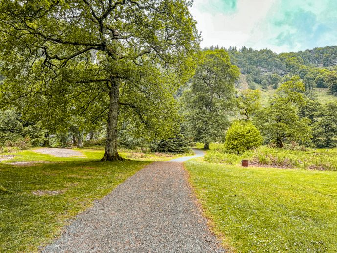 Powerscourt Waterfall walk