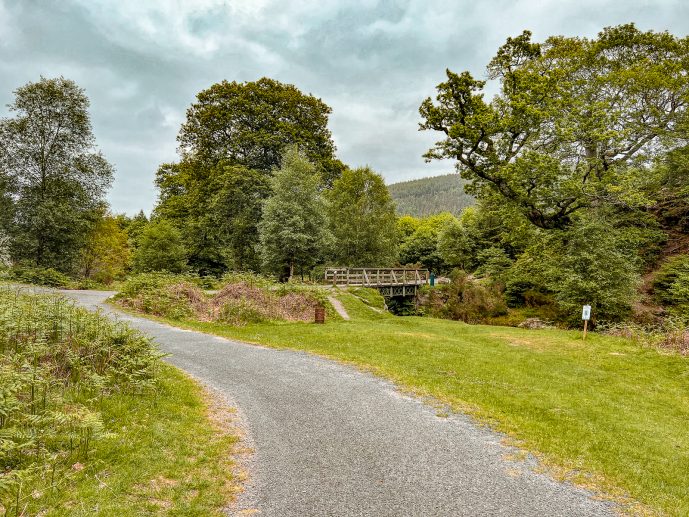 Powerscourt Waterfall walk