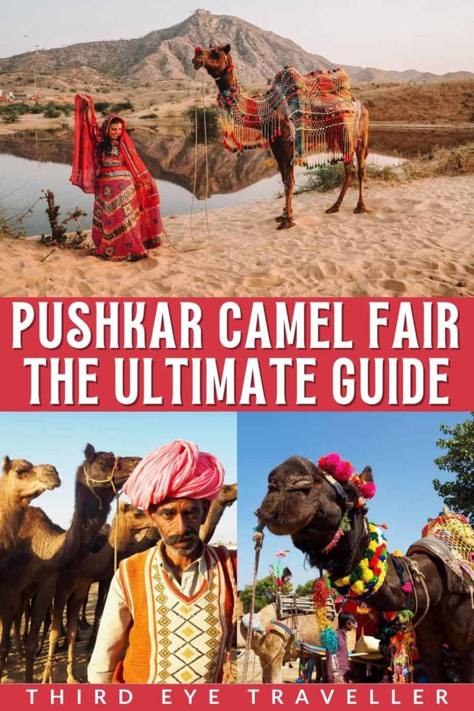 Pushkar Camel Fair - Ultimate 2026 Guide! 37 Pushkar Camel Fair Guide