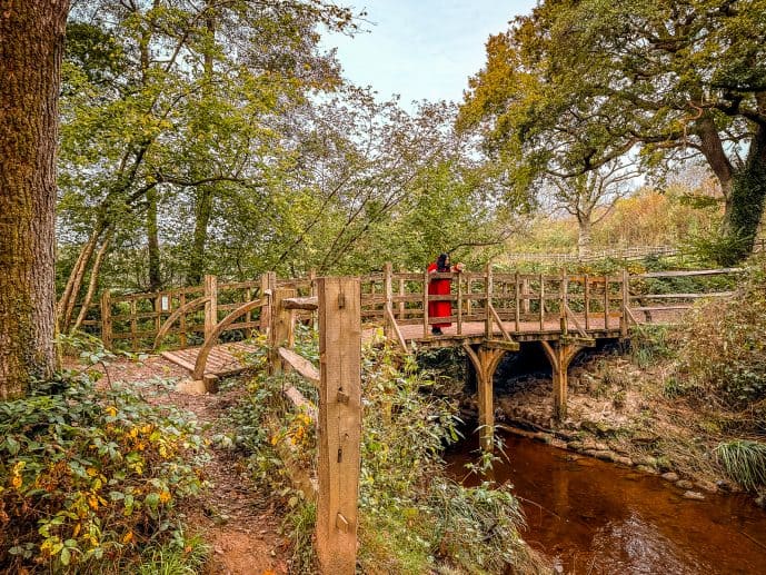 Pooh Sticks Bridge Ashdown Forest