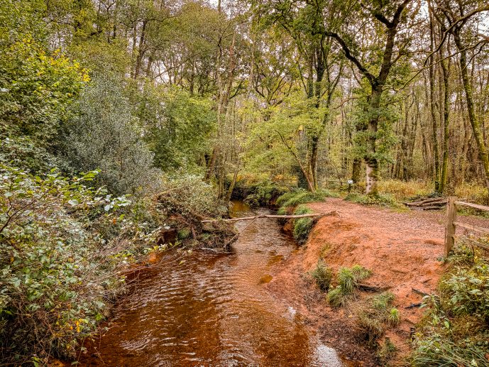 Poohsticks Bridge