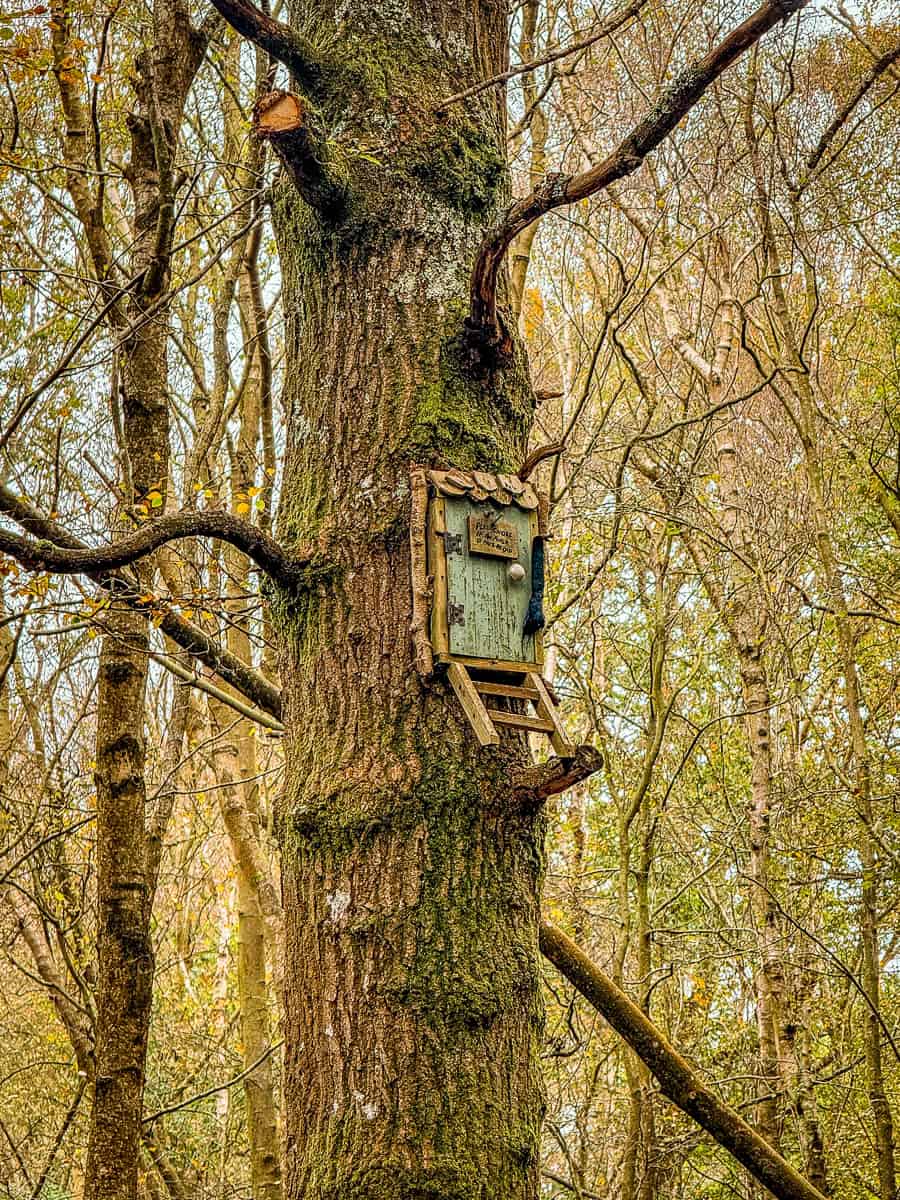 Owl's House Hundred Acre Wood