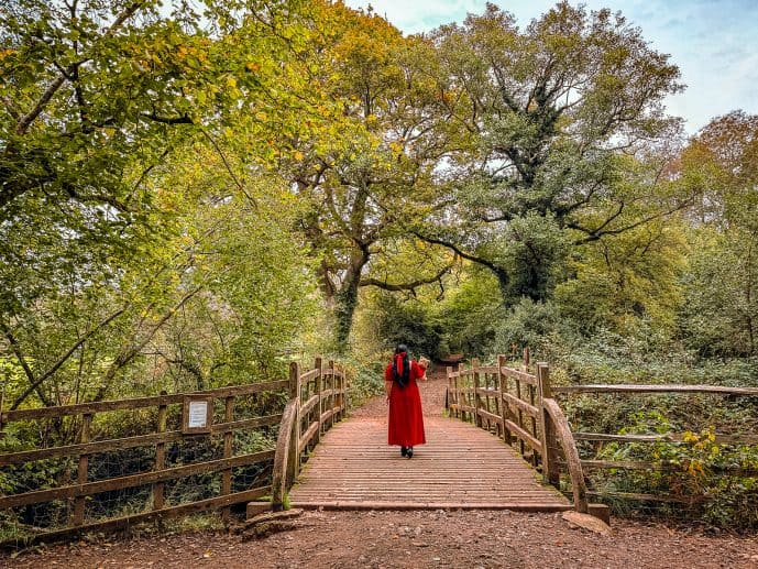 Pooh Sticks Bridge 