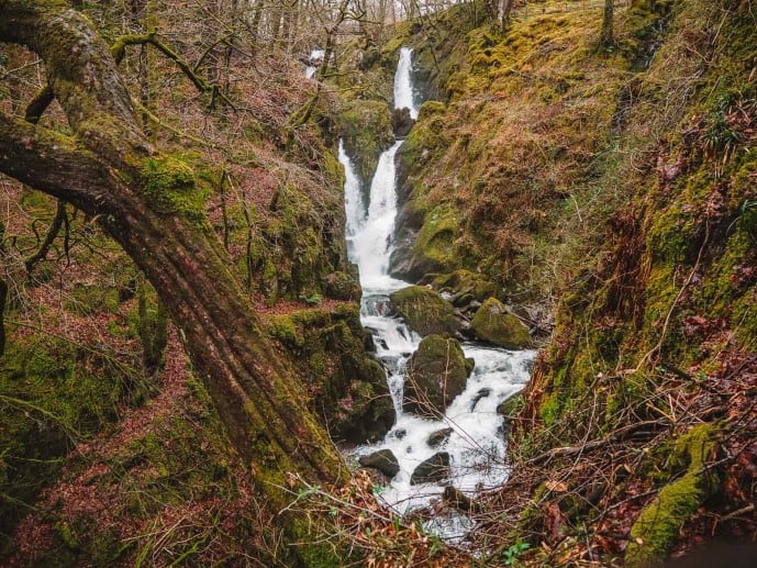 Stock Ghyll Force Waterfall in Ambleside