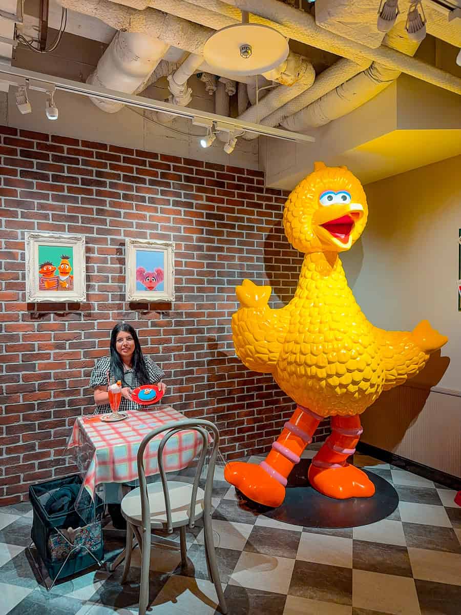 Sesame Street Market, Japan - Visit the World’s First Official Store in Tokyo! 17 Sesame Street Market Tokyo