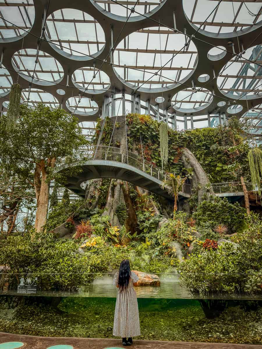 Shanghai Greenhouse Garden Worth Visiting