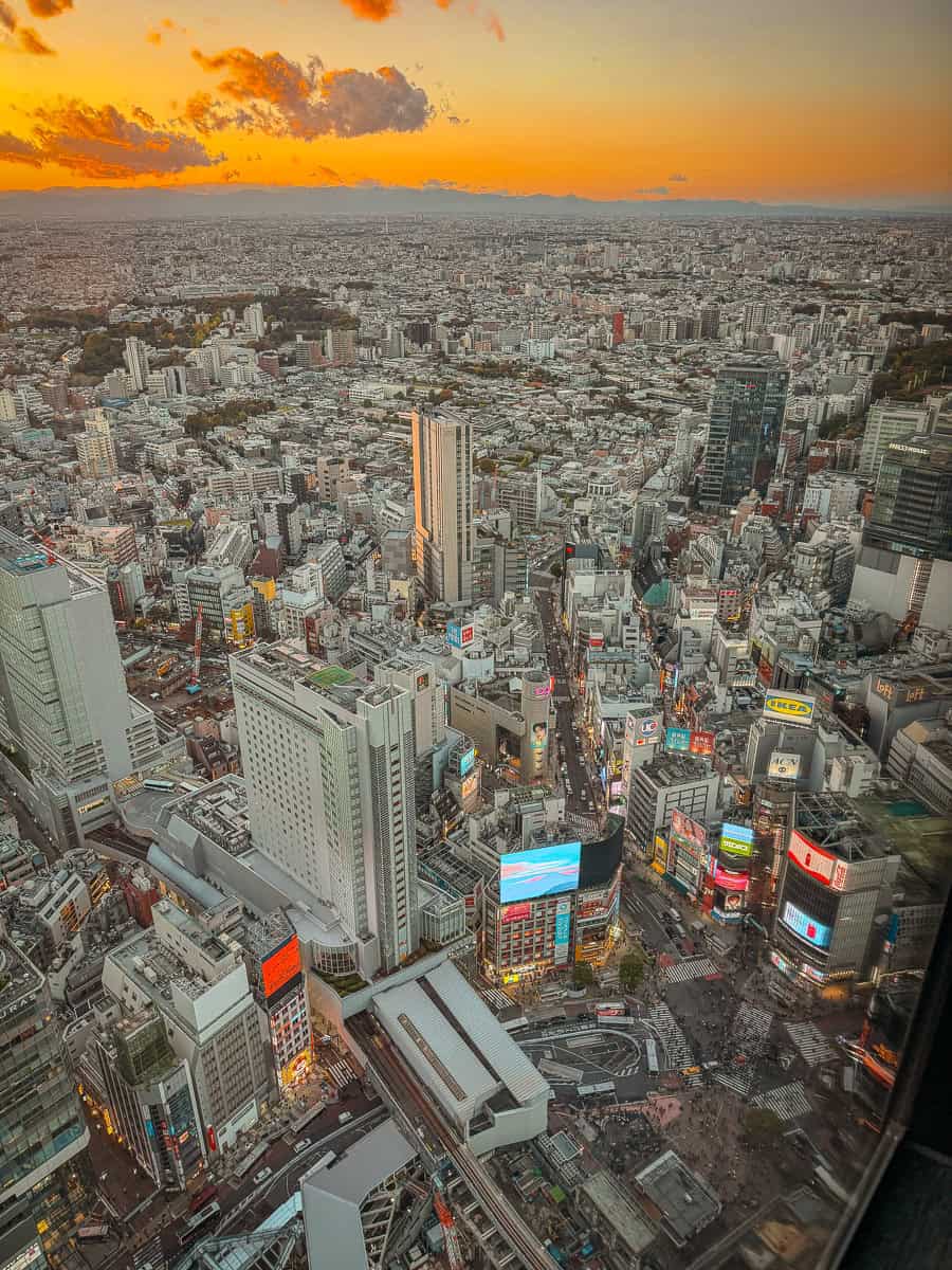 Shibuya Sky Review - Is this Viral Tokyo Viewpoint Worth Booking (2026)? 4 Tokyo Views from Shibuya Sky