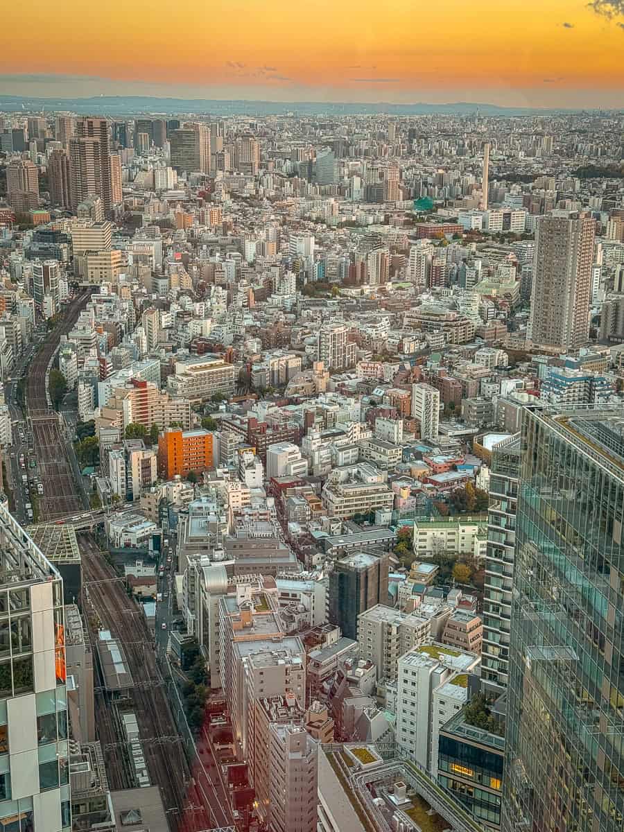 Shibuya Sky Review - Is this Viral Tokyo Viewpoint Worth Booking (2026)? 15 Tokyo Shibuya Sky views