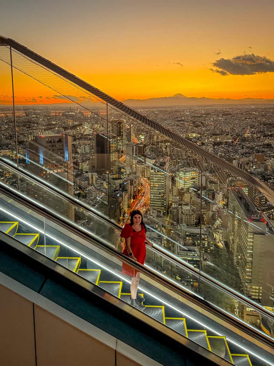 Shibuya Sky Tokyo Worth It