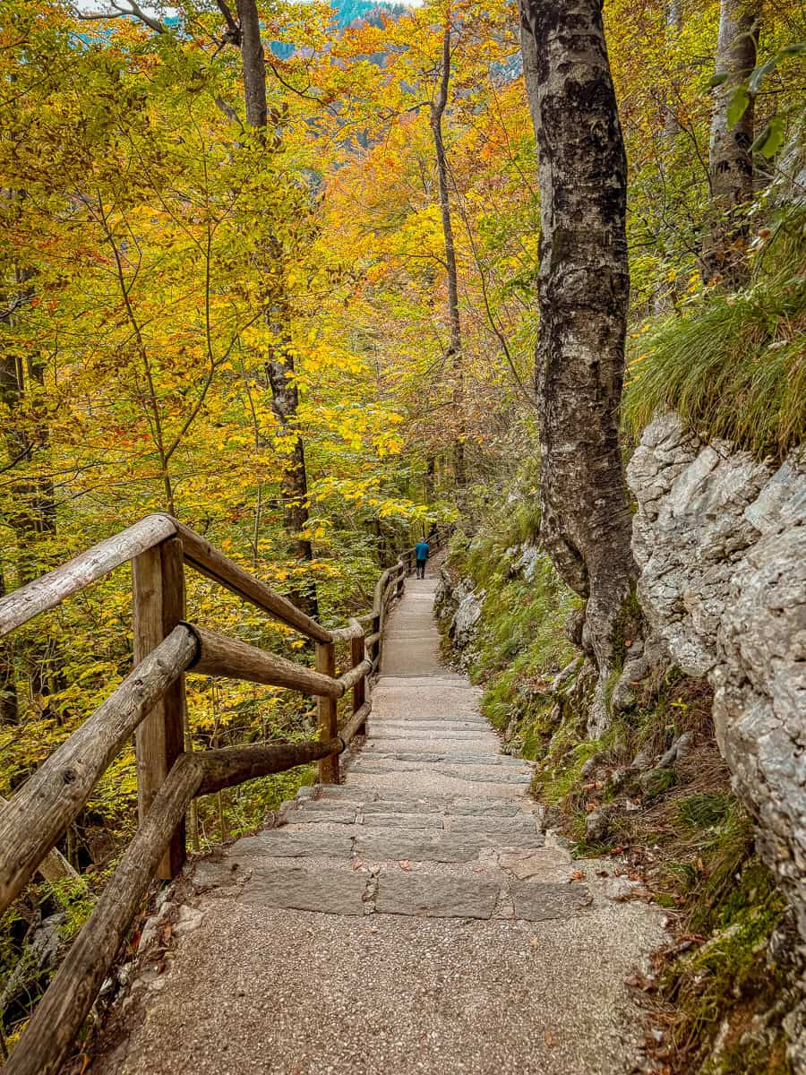 How to Visit Savica Waterfall in Bohinj, Triglav National Park (2026)! 18 Slap Savica Waterfall walk