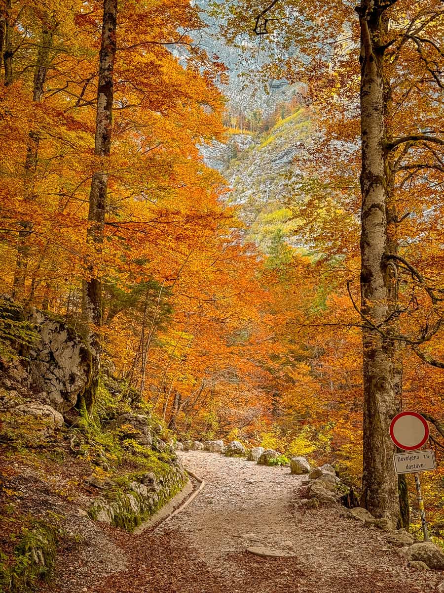 How to Visit Savica Waterfall in Bohinj, Triglav National Park (2026)! 22 Slap Savica Waterfall Slovenia