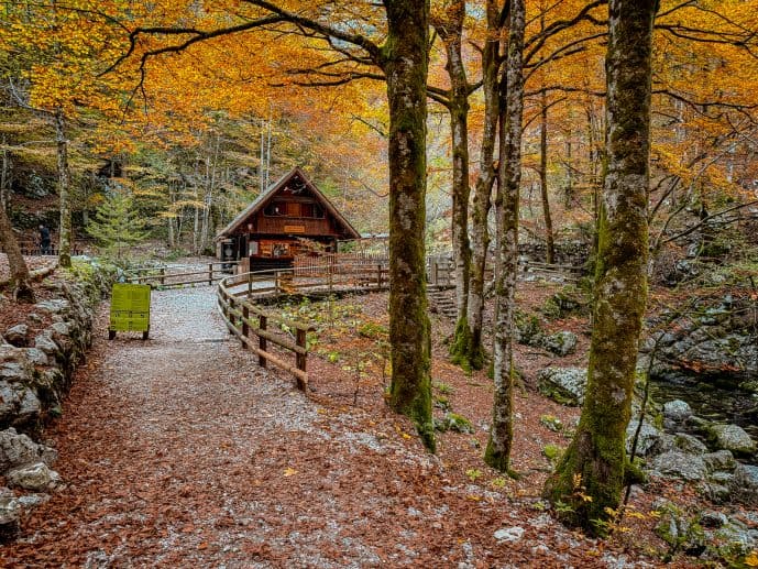 How to Visit Savica Waterfall in Bohinj, Triglav National Park (2026)! 8 Slap Savica Waterfall Slovenia