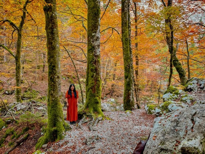How to Visit Savica Waterfall in Bohinj, Triglav National Park (2026)! 25 Slap Savica Waterfall
