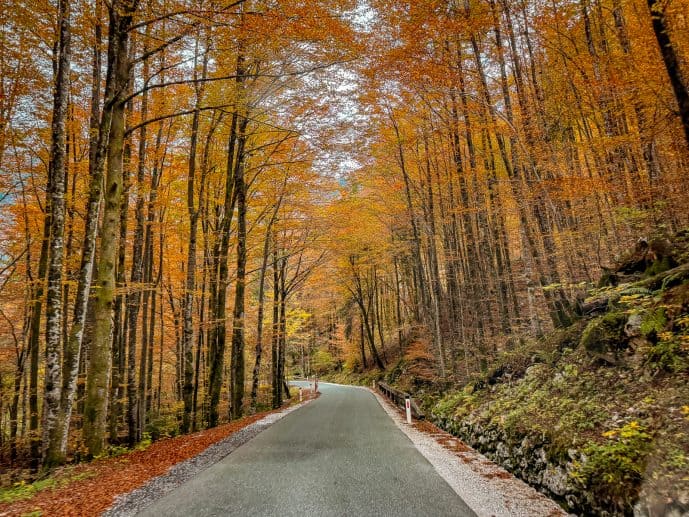 How to Visit Savica Waterfall in Bohinj, Triglav National Park (2026)! 4 Triglav National Park Road Trip