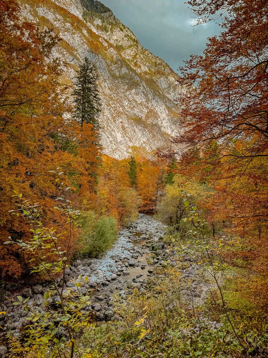 How to Visit Savica Waterfall in Bohinj, Triglav National Park (2026)! 21 Slap Savica Waterfall