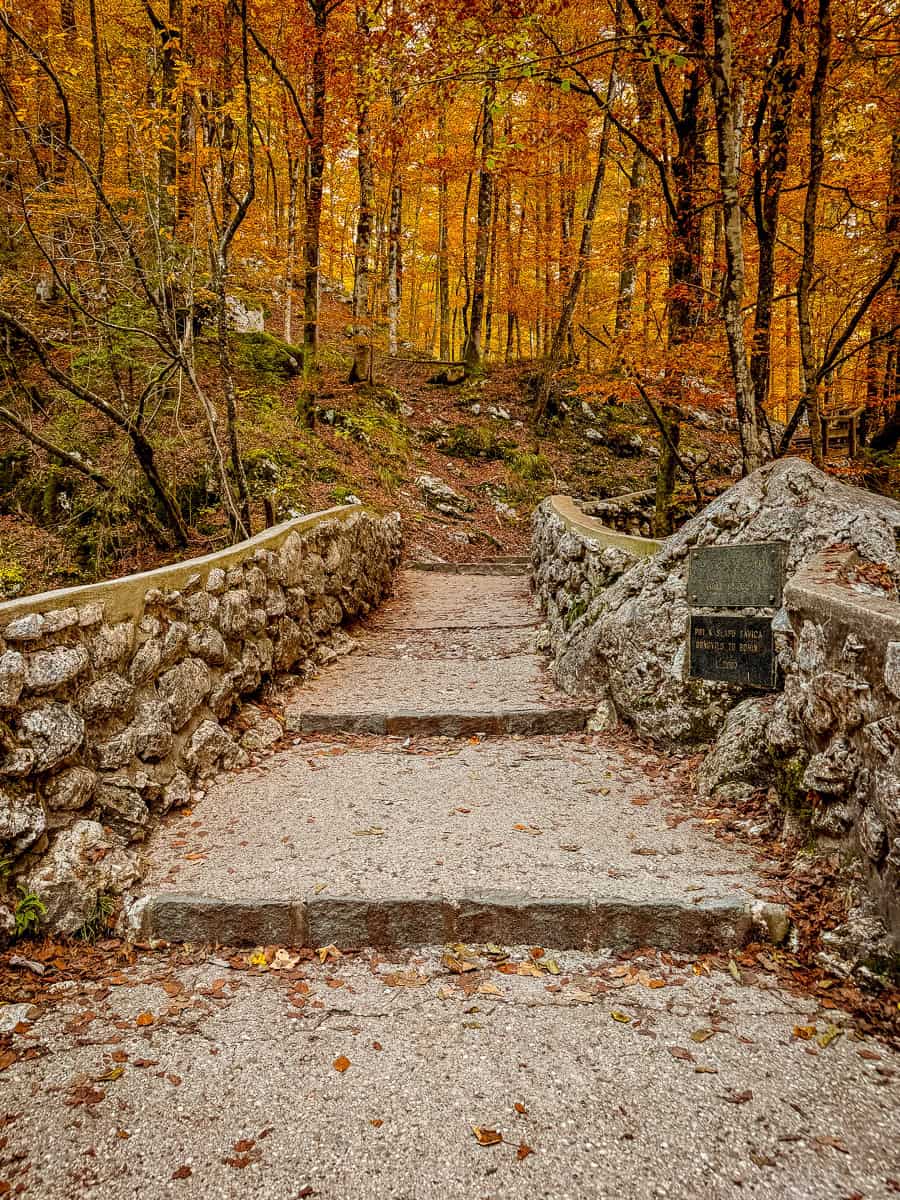 How to Visit Savica Waterfall in Bohinj, Triglav National Park (2026)! 23 Slap Savica Waterfall Slovenia