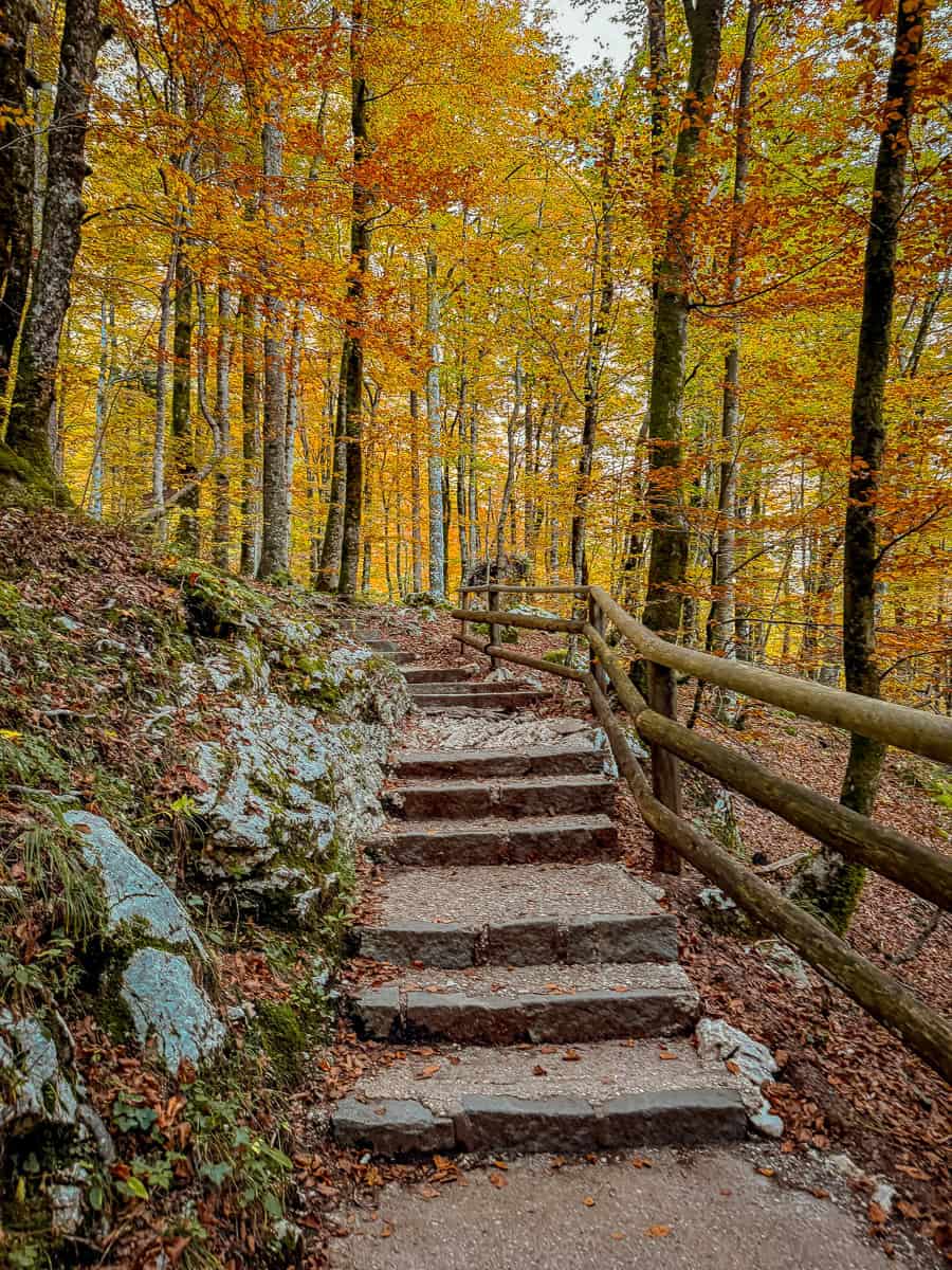 How to Visit Savica Waterfall in Bohinj, Triglav National Park (2026)! 11 Slap Savica Waterfall walk