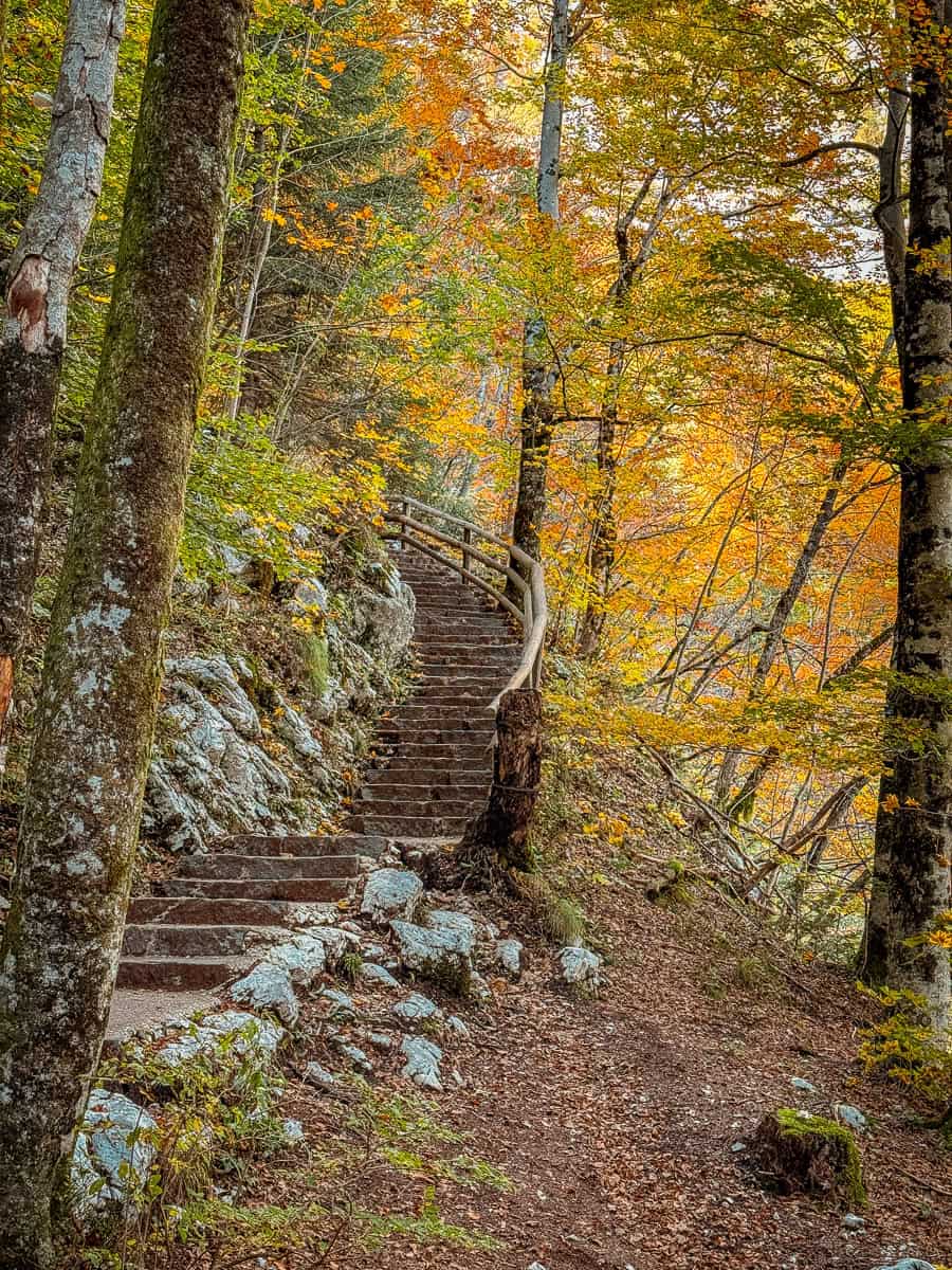 How to Visit Savica Waterfall in Bohinj, Triglav National Park (2026)! 12 Slap Savica Waterfall walk